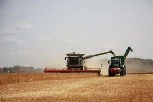 Eurostat: Exporturile agricole ale UE au depăşit 238 miliarde de euro în 2025